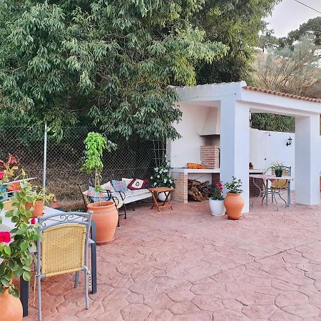 Sedella En-Suite Bedroom With Private Entrance At Casa Sofija מראה חיצוני תמונה